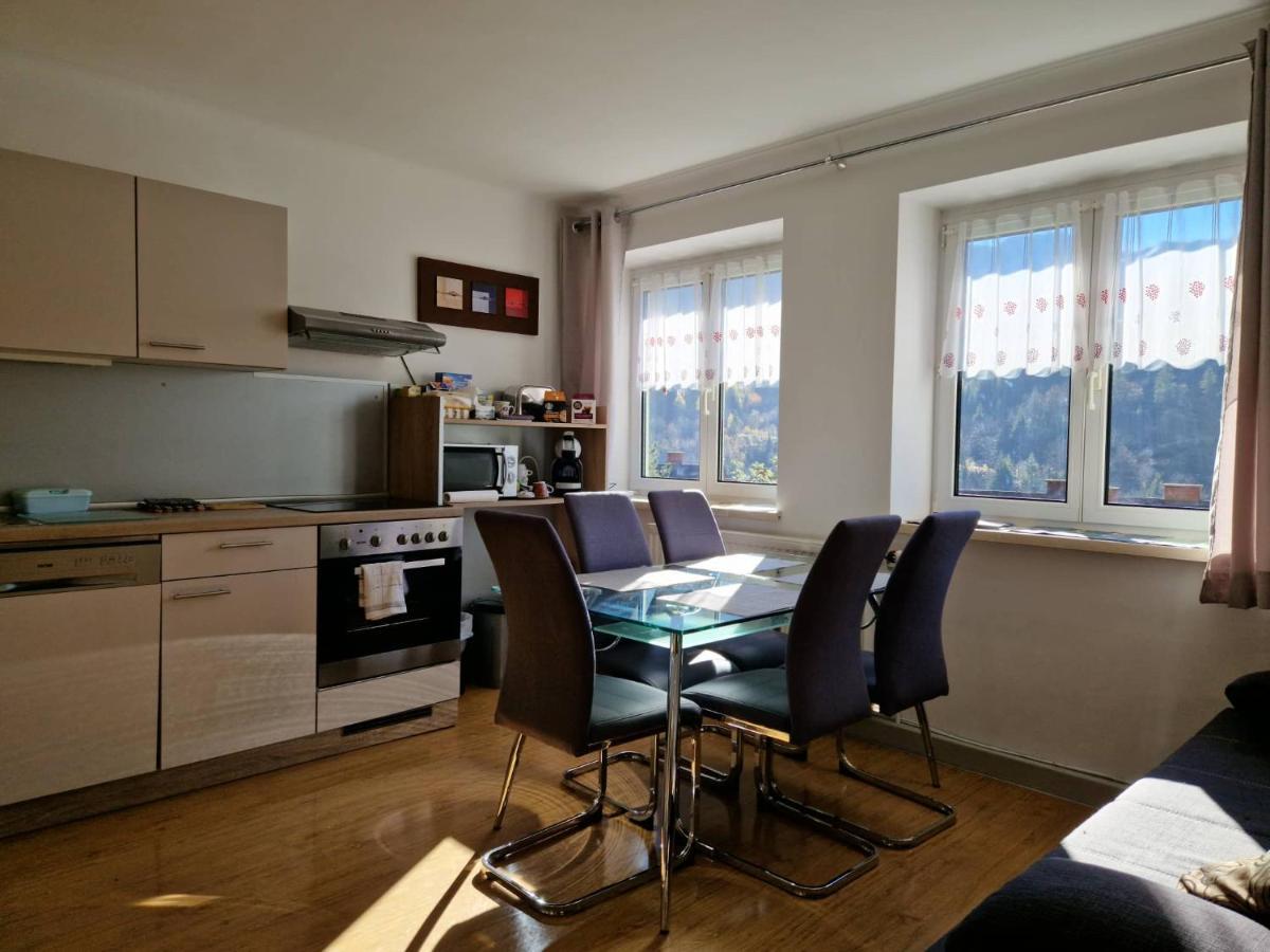 Eisenerz Stefan Apartment / Ferien Wohnung Dış mekan fotoğraf